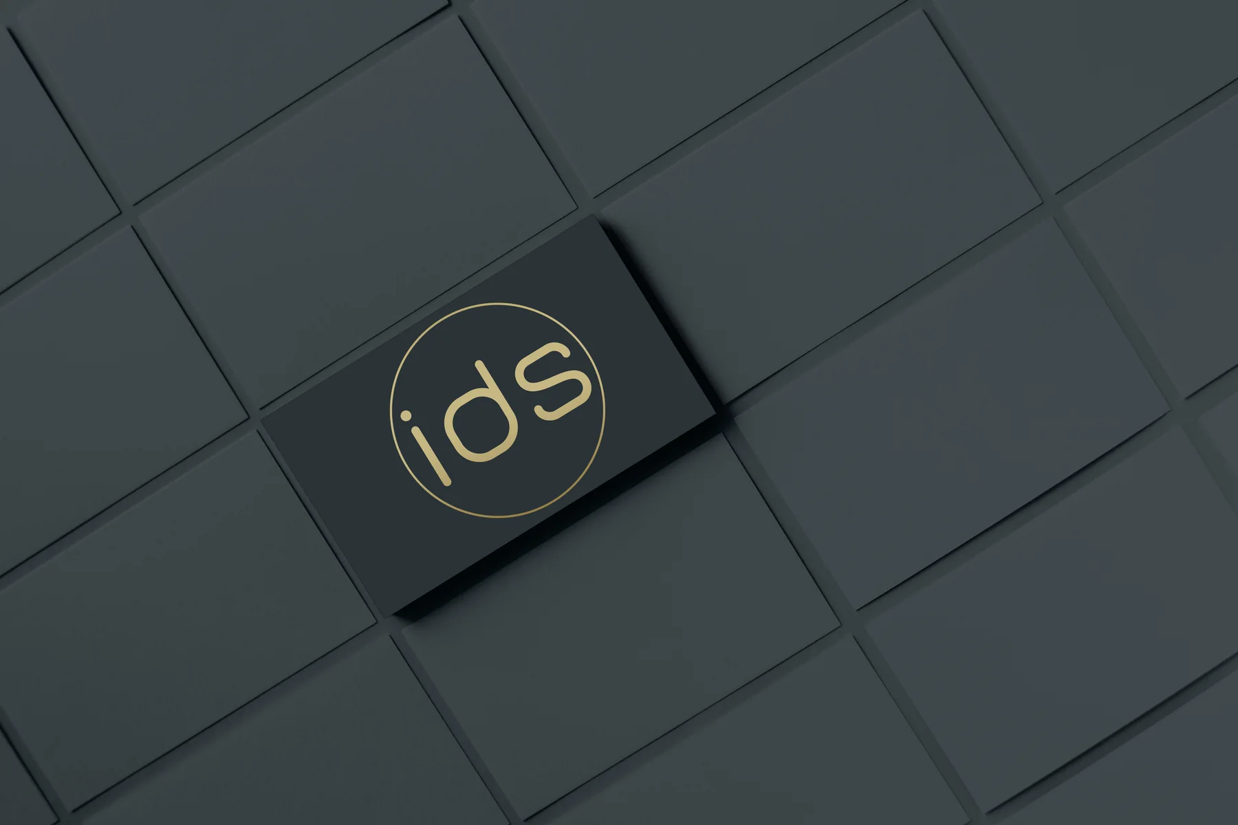 IDS brand mark